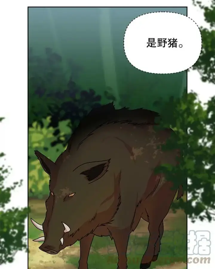 《我把竹马养黑化》67.抓到野猪啦！图53