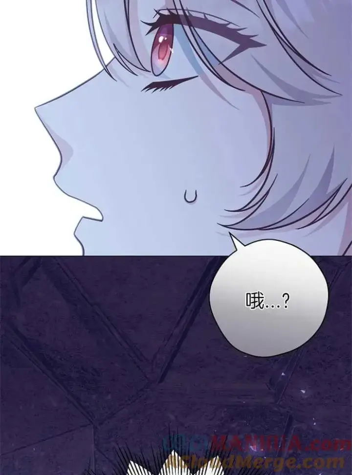 《我被误会成了最终大boss的恋人》第29话图17