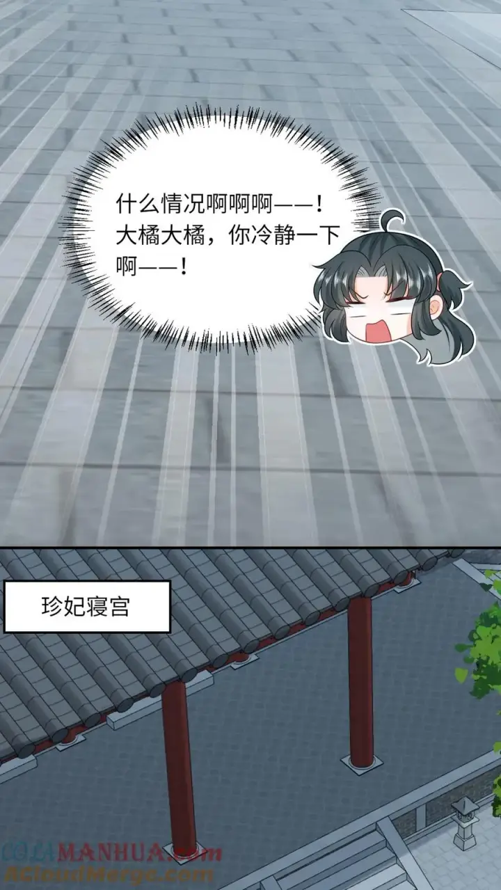 《我出钱你出命，我俩一起神经病》第113话 脱离掌控的大橘图3