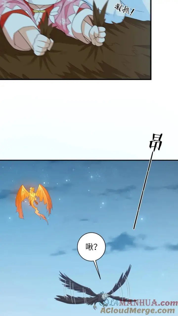 《我出钱你出命，我俩一起神经病》第66话 驯服两鸟图17