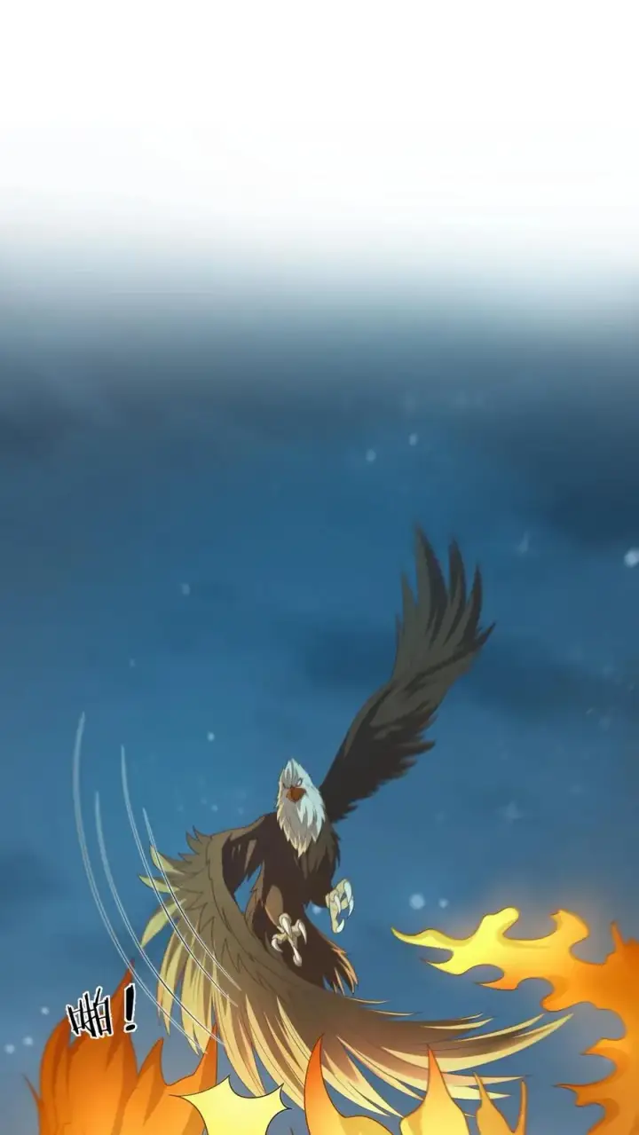 《我出钱你出命，我俩一起神经病》第66话 驯服两鸟图2