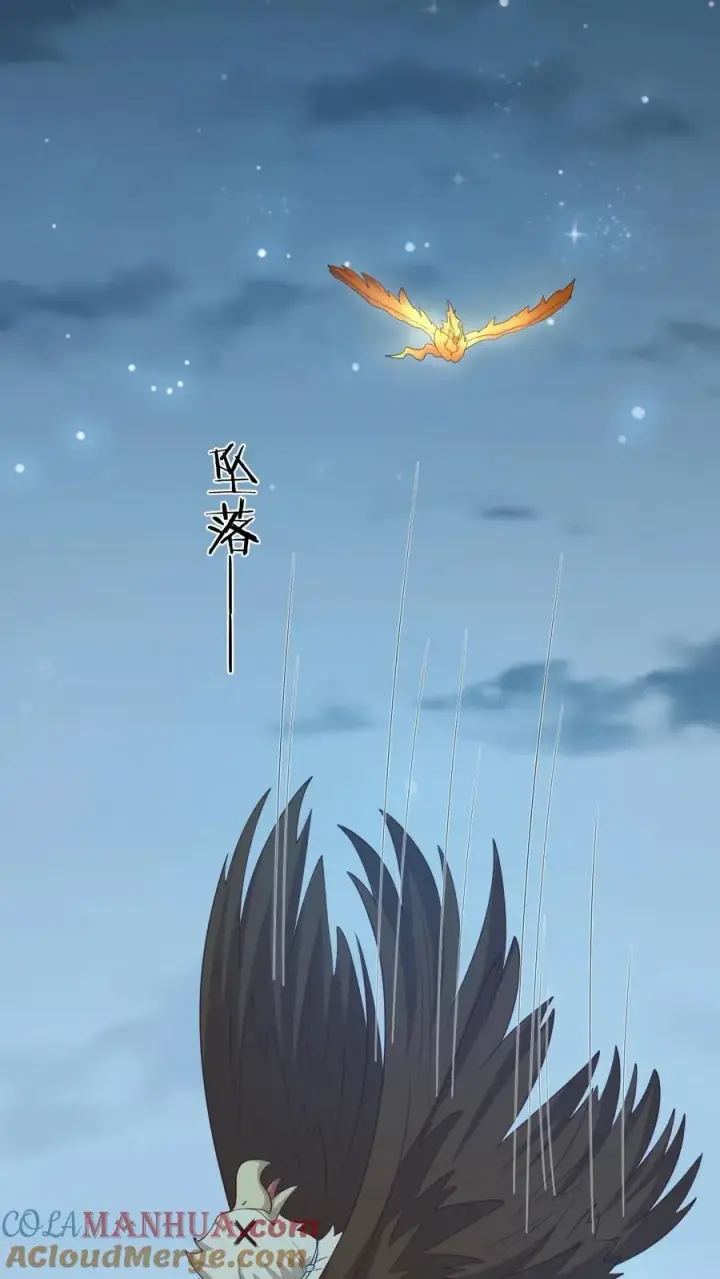 《我出钱你出命，我俩一起神经病》第66话 驯服两鸟图21