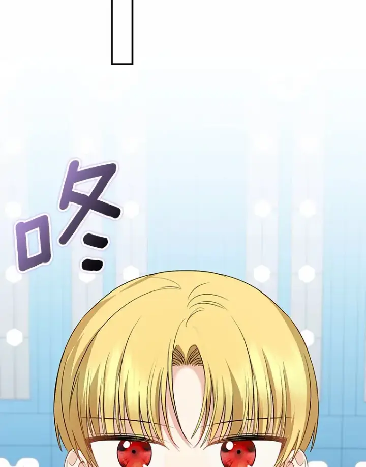 《我的暴君变成小孩儿了》38.带他回皇城图106