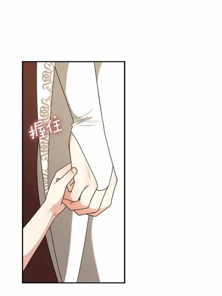 《我的暴君变成小孩儿了》43.繁忙的庆典图23