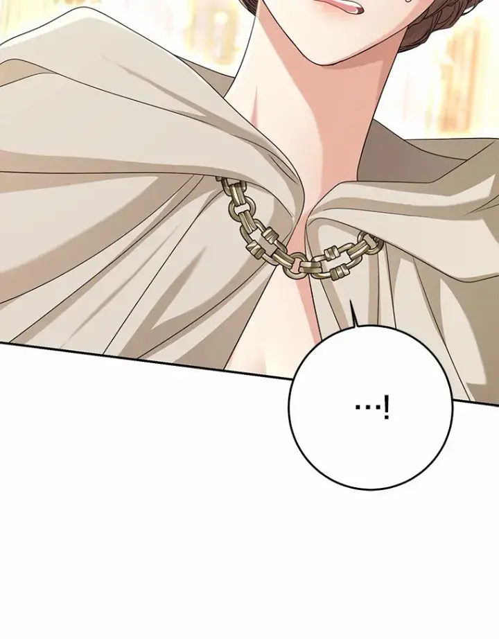 《我的暴君变成小孩儿了》55.诞辰日图61