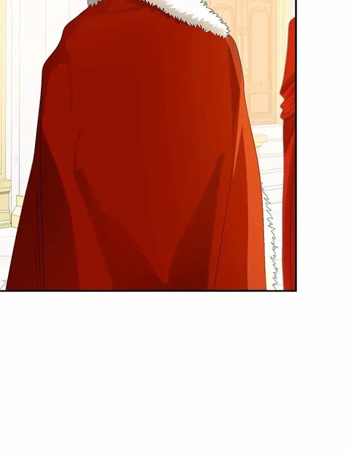 《我的暴君变成小孩儿了》55.诞辰日图93