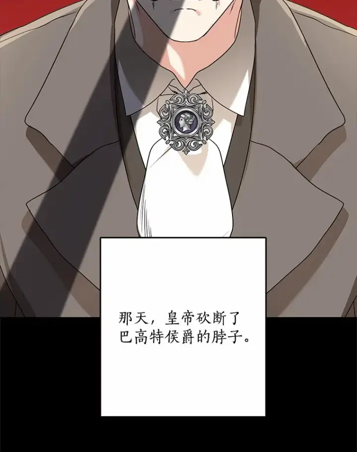《我的暴君变成小孩儿了》60.登上皇位图45