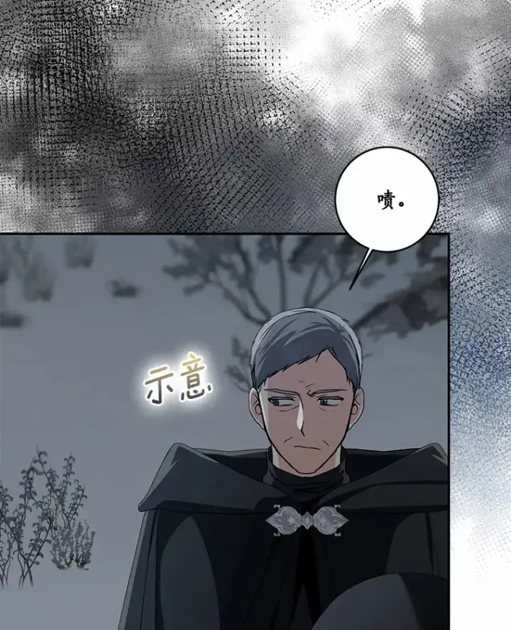 《我的暴君变成小孩儿了》73.公子的出现图29