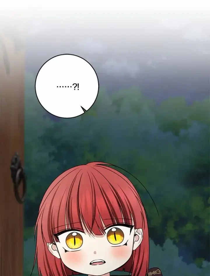 《我的暴君变成小孩儿了》74.诅咒解除图22