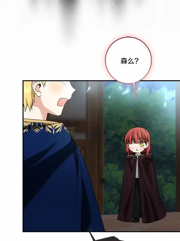 《我的暴君变成小孩儿了》74.诅咒解除图42