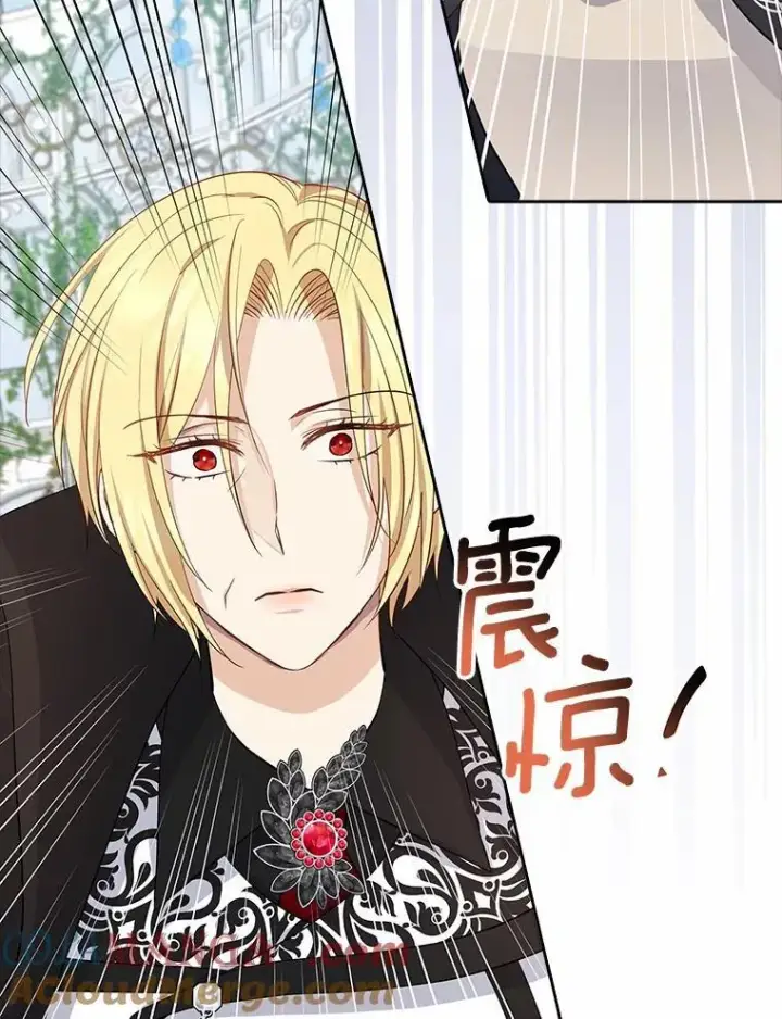 《我的暴君变成小孩儿了》4.私生子图33