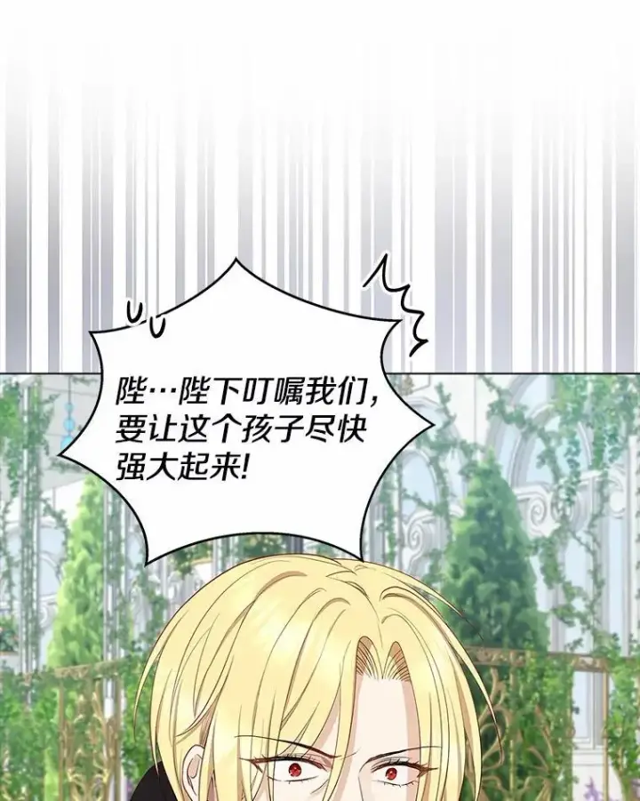 《我的暴君变成小孩儿了》4.私生子图54
