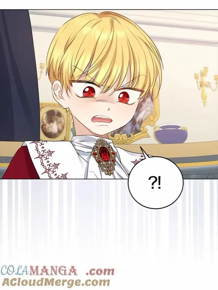 《我的暴君变成小孩儿了》5.欢迎仪式图33