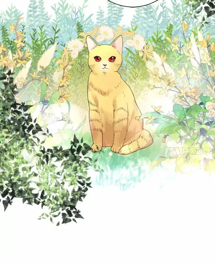 《我的暴君变成小孩儿了》6.我也要图87