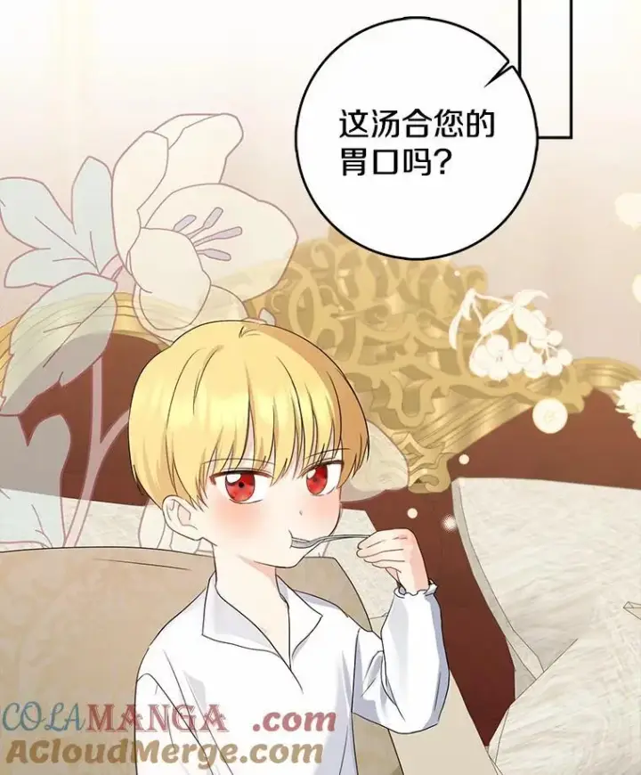 《我的暴君变成小孩儿了》21.少东家图13