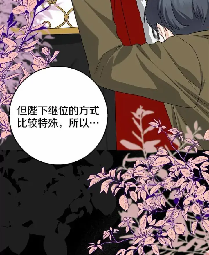 《我的暴君变成小孩儿了》26.找个工具人图30