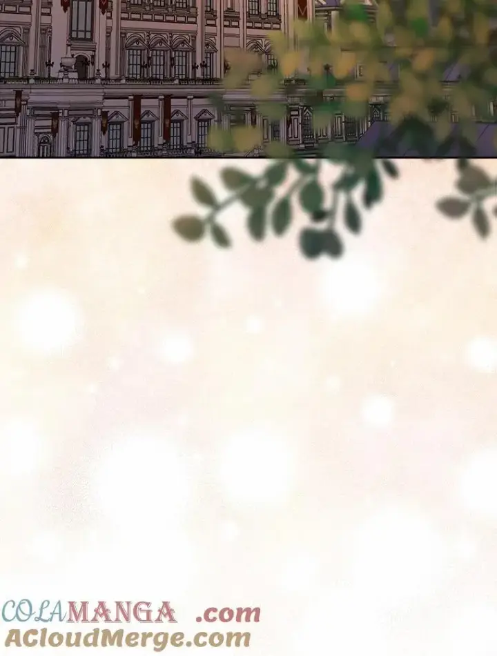 《我的暴君变成小孩儿了》29.赴宴图29