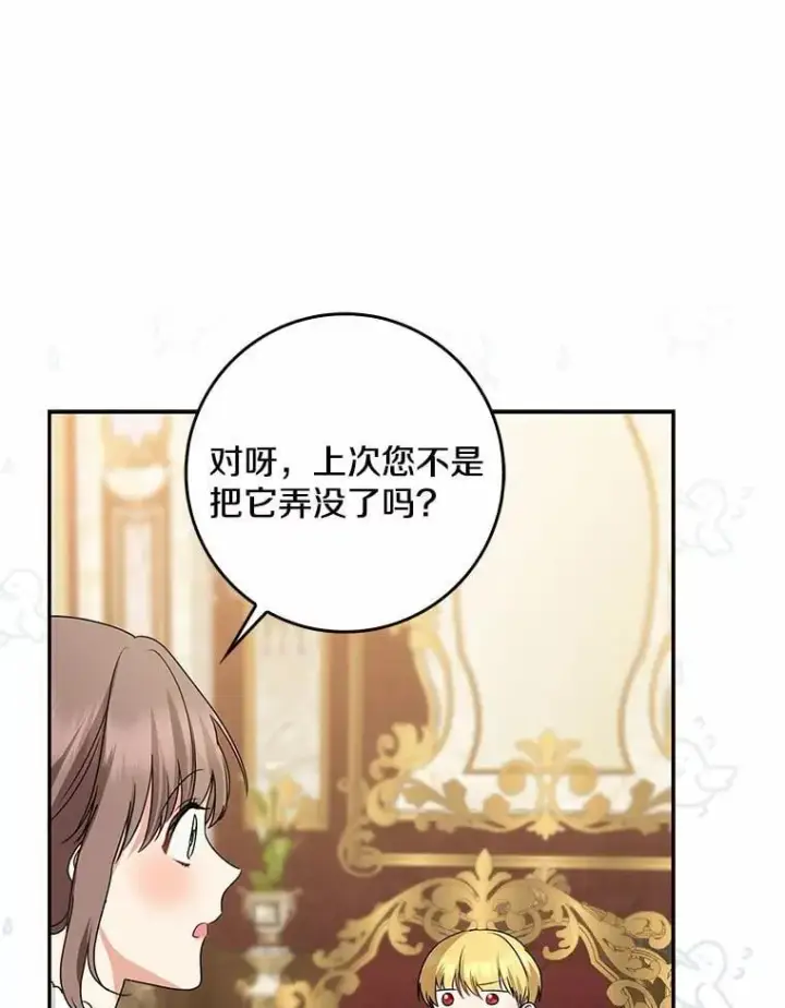 《我的暴君变成小孩儿了》31.礼物图104