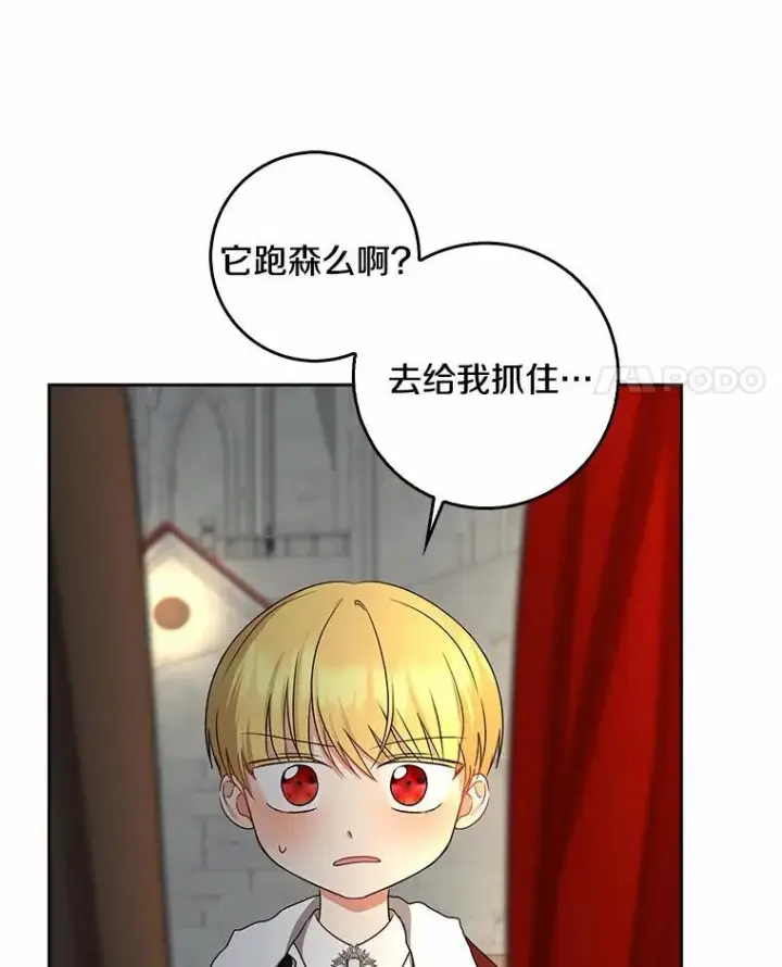 《我的暴君变成小孩儿了》32.夜访骑士团图27