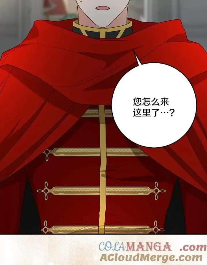《我的暴君变成小孩儿了》32.夜访骑士团图53