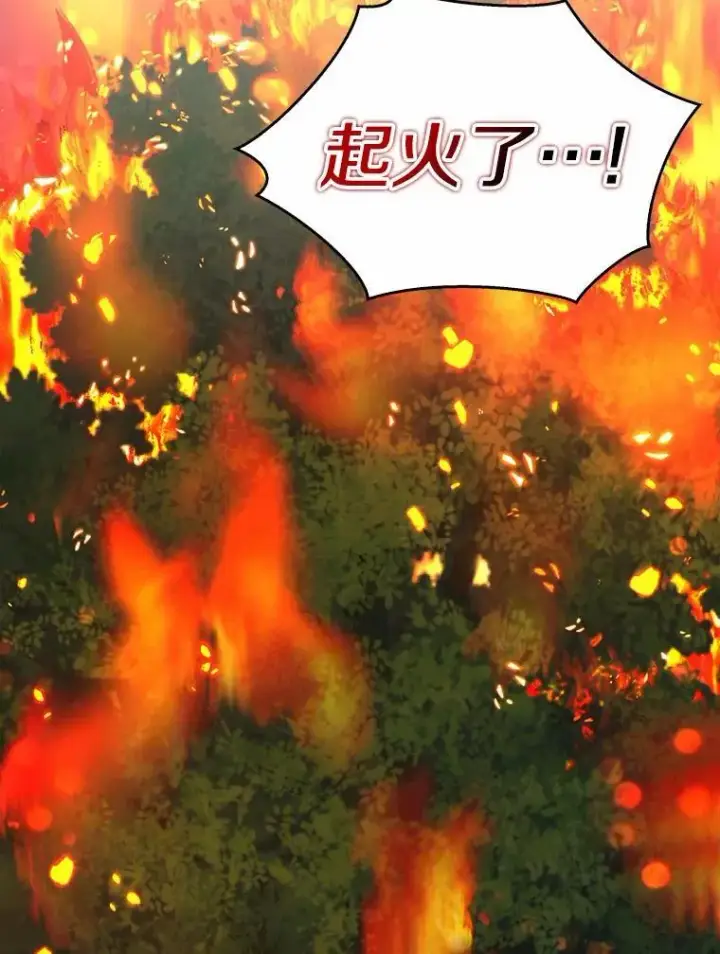 《我的暴君变成小孩儿了》32.夜访骑士团图70