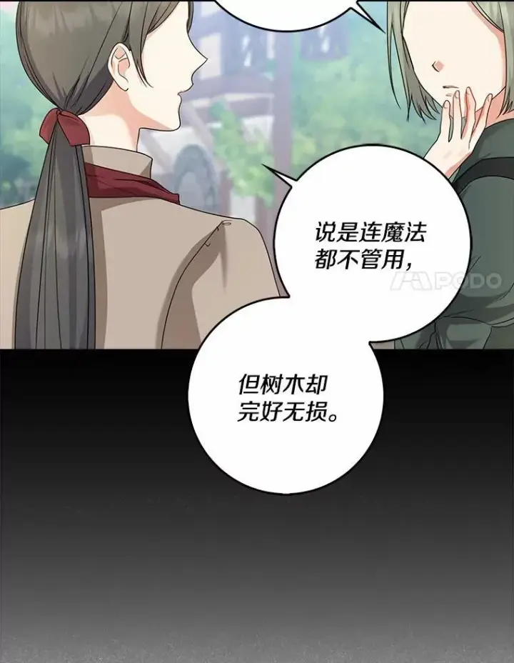 《我的暴君变成小孩儿了》32.夜访骑士团图78