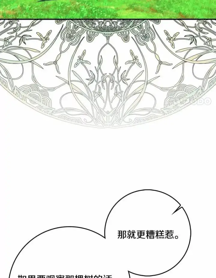 《我的暴君变成小孩儿了》32.夜访骑士团图88