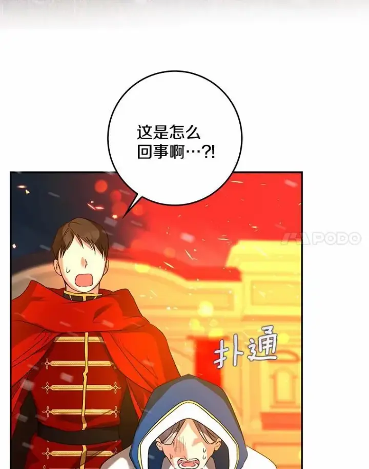 《我的暴君变成小孩儿了》33.主殿起火图112