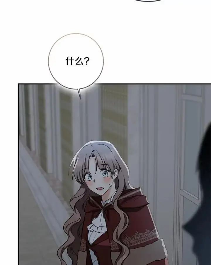 《我的暴君变成小孩儿了》76.真正的关系图58