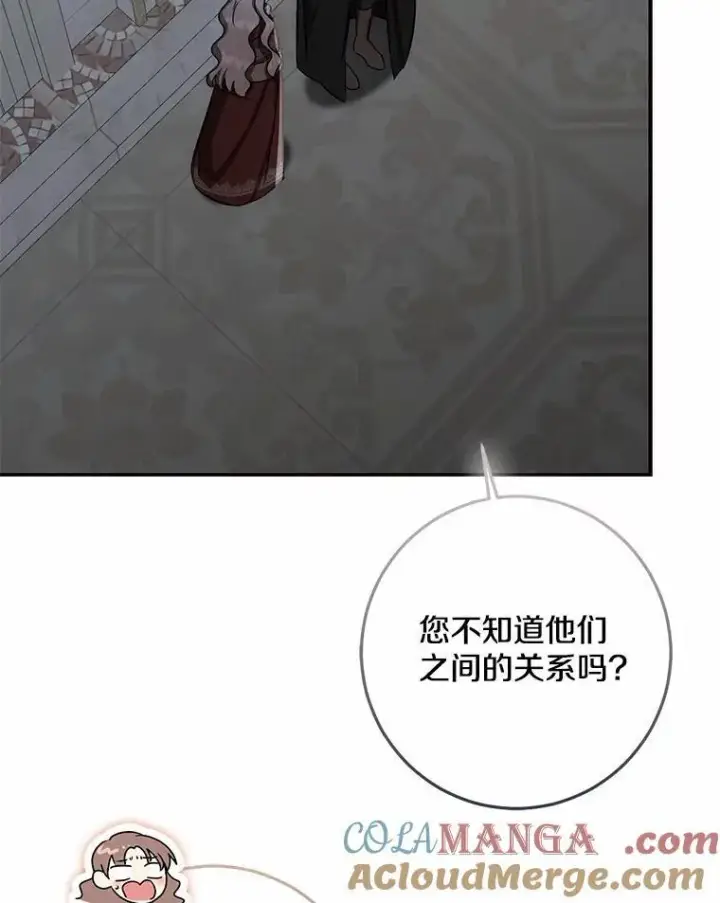 《我的暴君变成小孩儿了》76.真正的关系图61