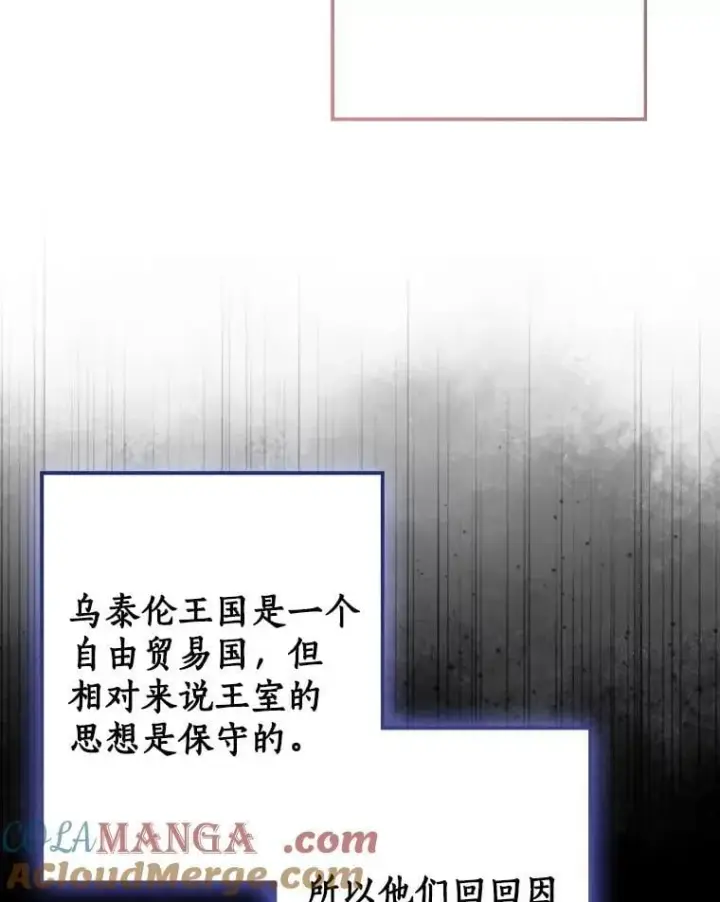 《我的暴君变成小孩儿了》80.预言的能力图41