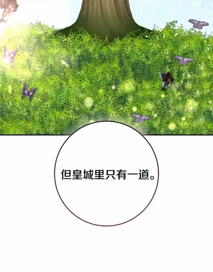 《我的暴君变成小孩儿了》82.走投无路图127