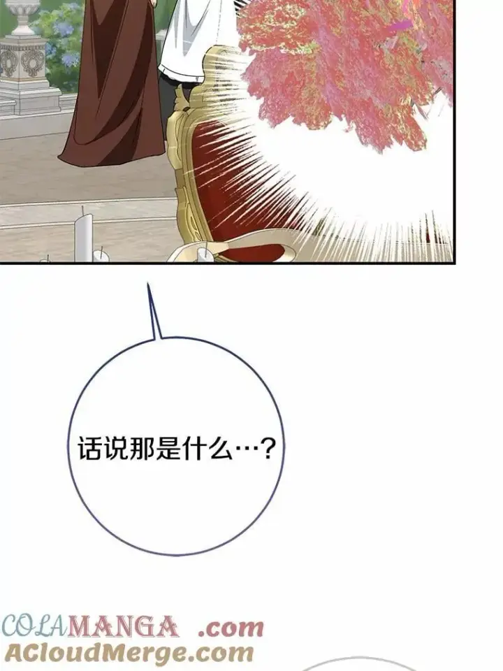 《我的暴君变成小孩儿了》83.那个孩子图137