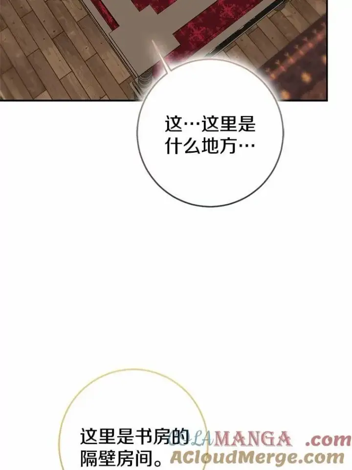 《我的暴君变成小孩儿了》83.那个孩子图17