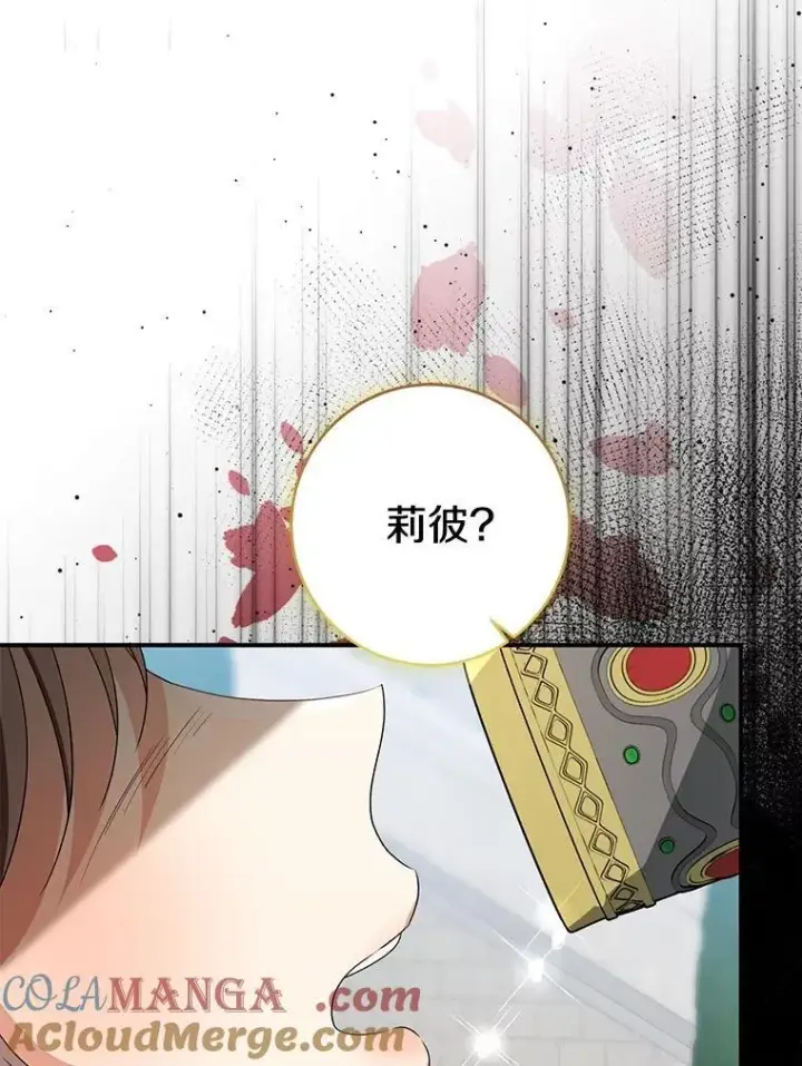 《我的暴君变成小孩儿了》83.那个孩子图209