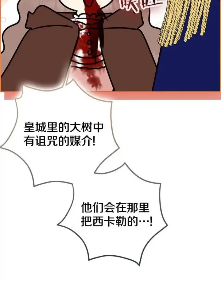 《我的暴君变成小孩儿了》84.最后的机会图144