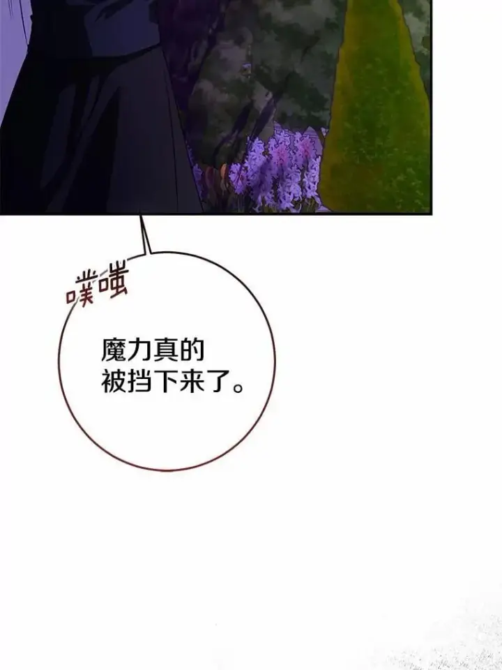 《我的暴君变成小孩儿了》84.最后的机会图36