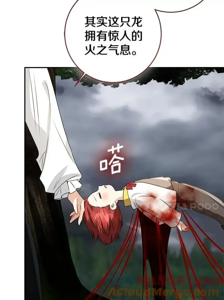 《我的暴君变成小孩儿了》85.同归于尽图81