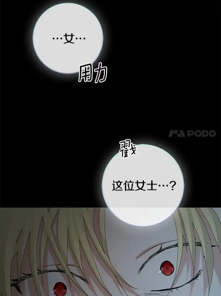 《我的暴君变成小孩儿了》86.回望过去图60