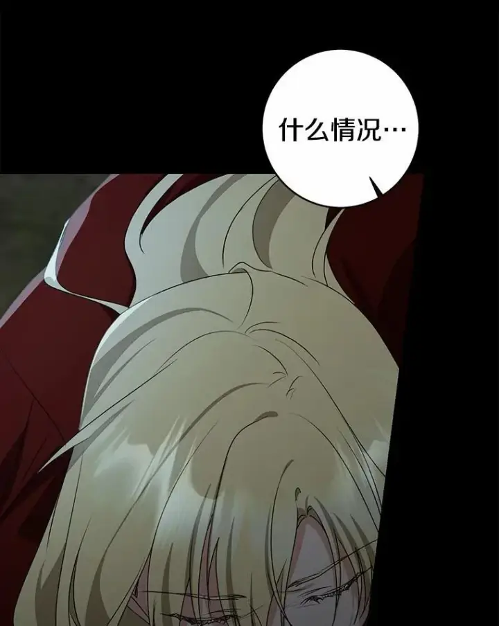 《我的暴君变成小孩儿了》86.回望过去图69