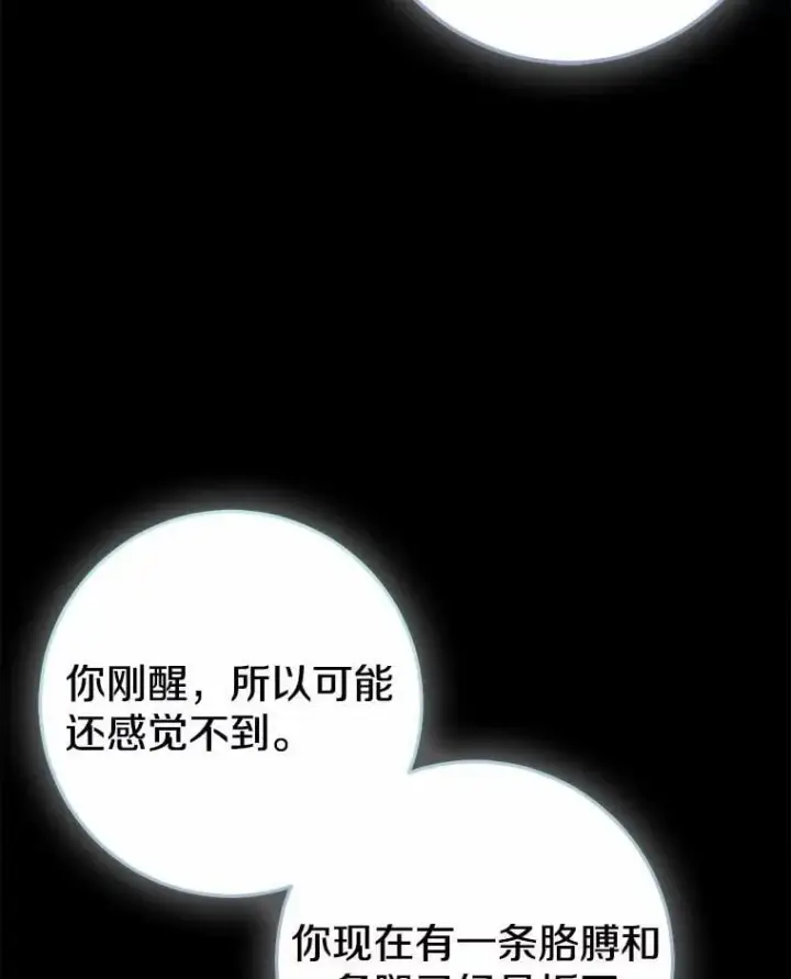 《我的暴君变成小孩儿了》86.回望过去图84