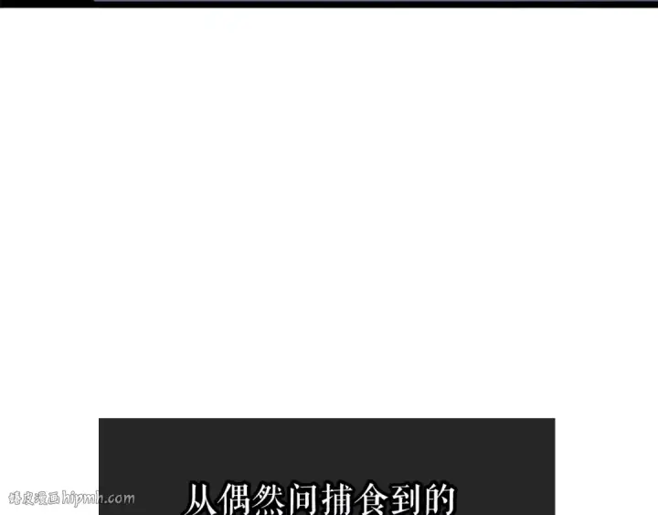 《我独自升级》第103话 不知所措小蚂蚁图40