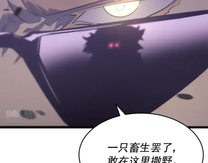《我独自升级》第156话 发疯的野兽图196