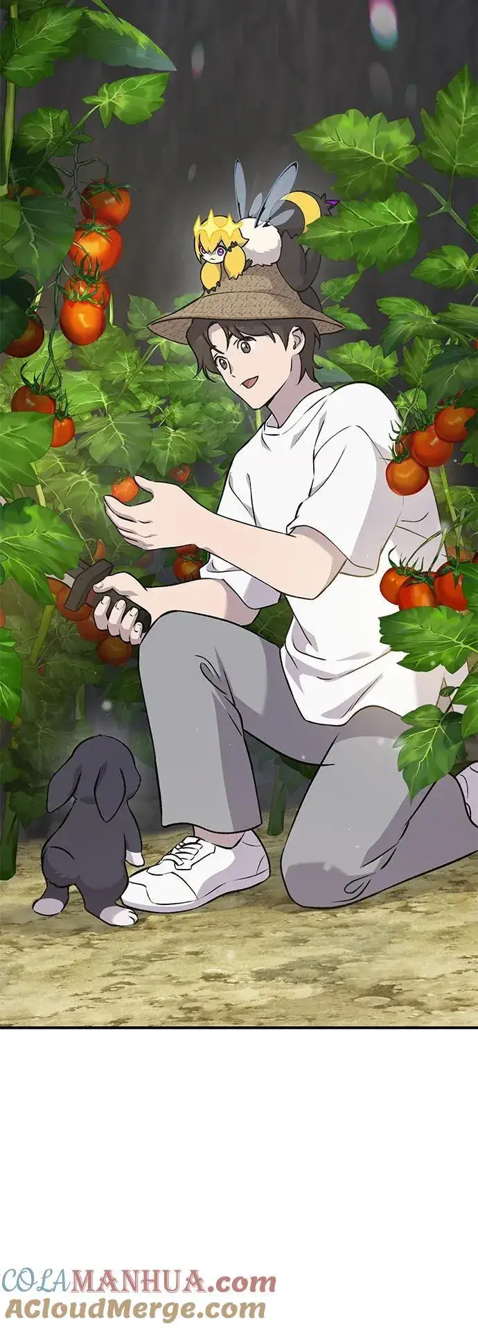 《我独自在高塔种田》[第36话] 喵嗝！喵嗝！图105