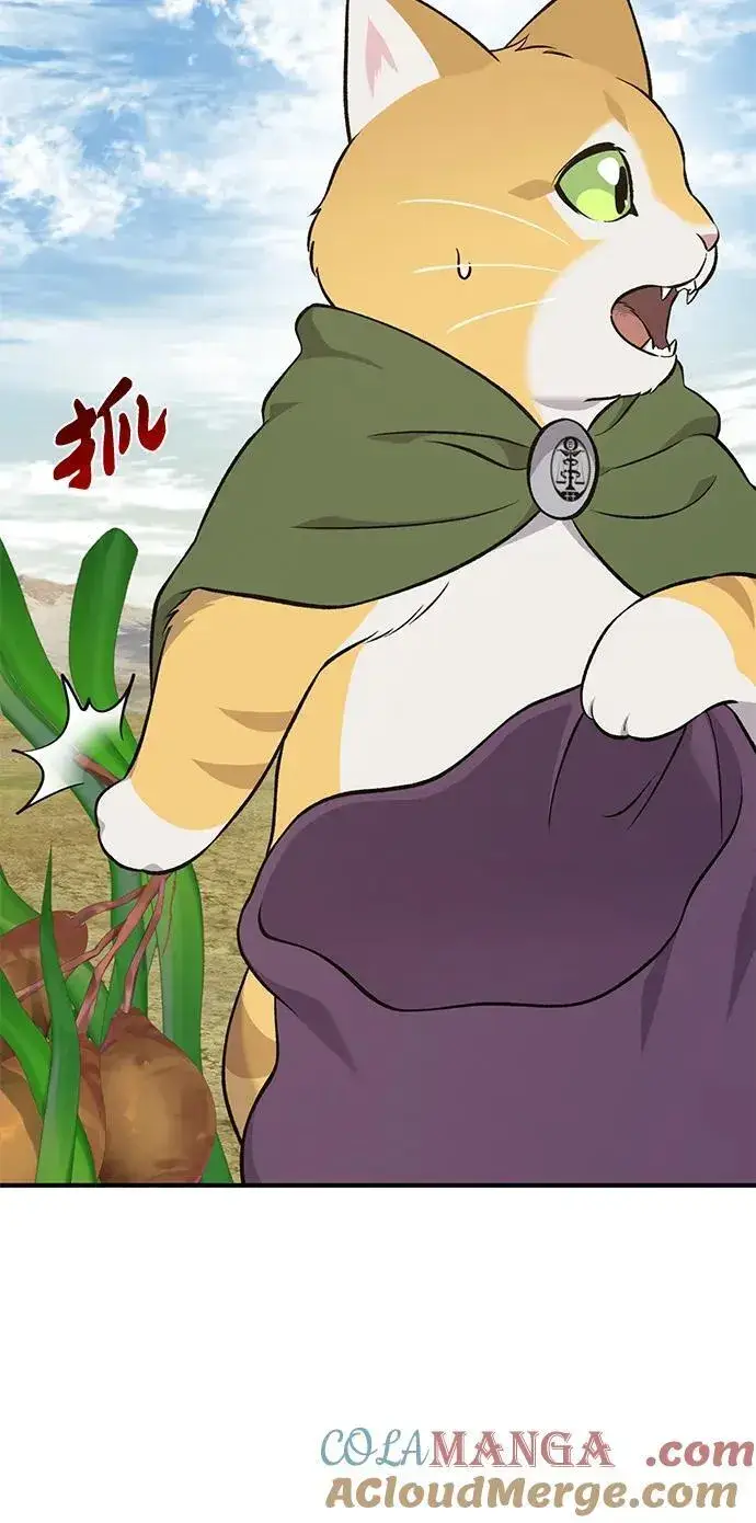 《我独自在高塔种田》[第58话] 征兆图73