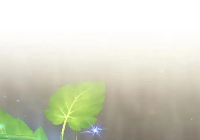 《我独自在高塔种田》[第119话] 从今天起， 我要对你进行特训！图321