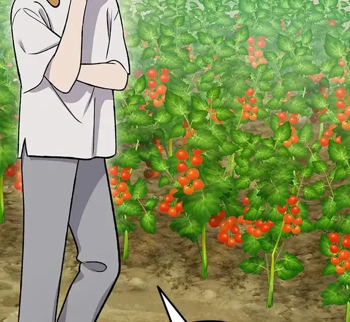 《我独自在高塔种田》[第134话] 今天开派对！图153