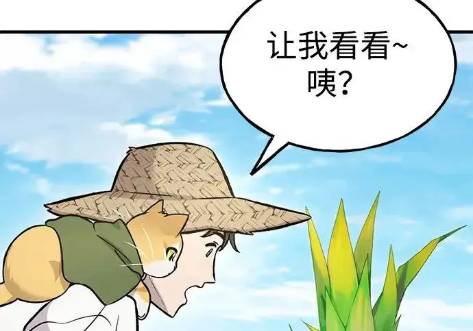 《我独自在高塔种田》[第135话] 首次采摘菠萝！图279