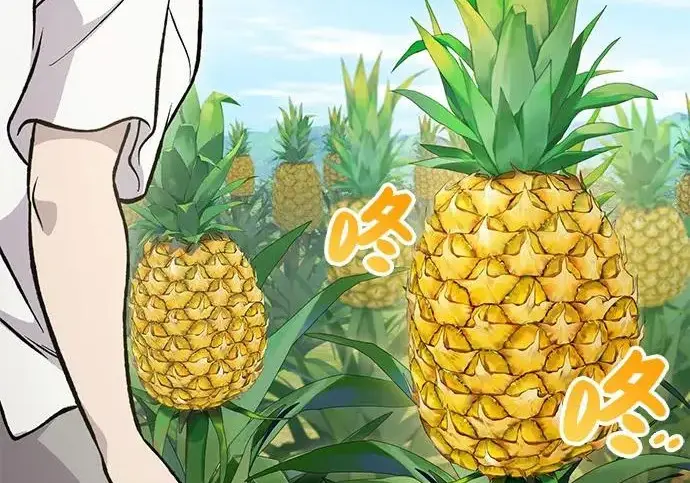 《我独自在高塔种田》[第135话] 首次采摘菠萝！图280