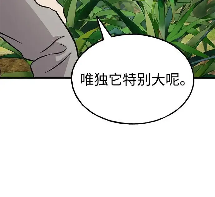《我独自在高塔种田》[第135话] 首次采摘菠萝！图281